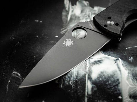 Briceag Spyderco Tenacious Black Plain