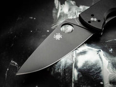 Briceag Spyderco Tenacious Black Plain