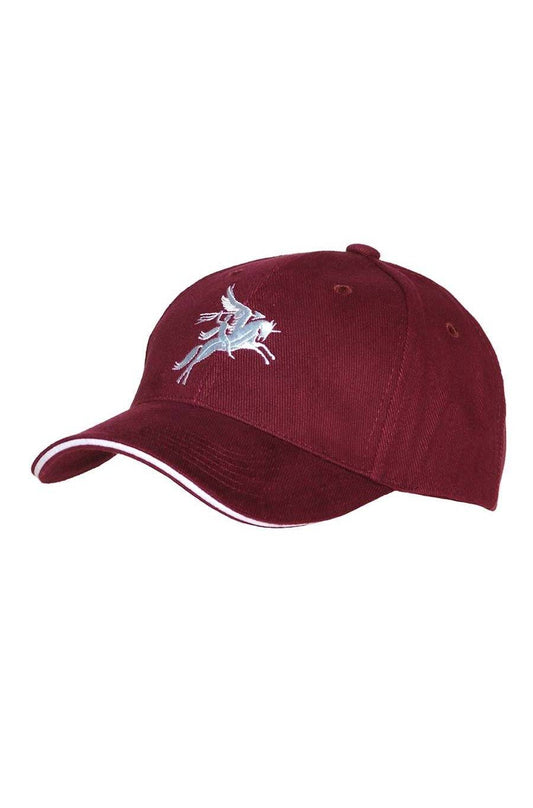 Sapca Pegasus